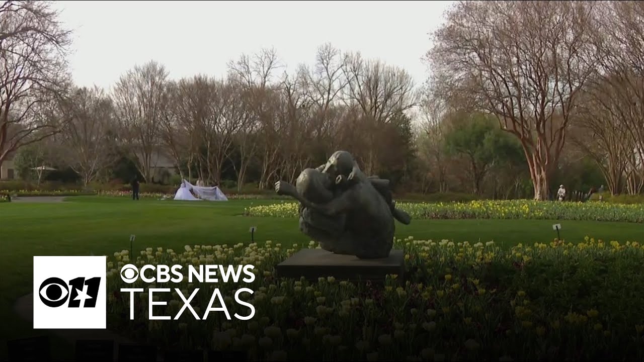 Dallas Blooms draws families as more than 500,000 flowers come into peak season