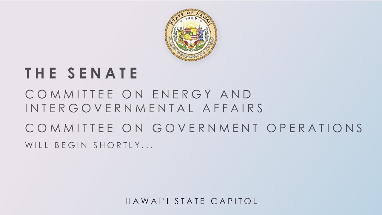 EIG-GVO Public Hearing 02-19-2026