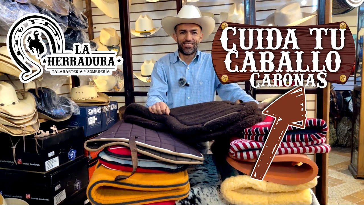 No lastimes a tu caballo! elige las mejores CARONAS#caballos#caronas #sombrero #piel #talabarteria