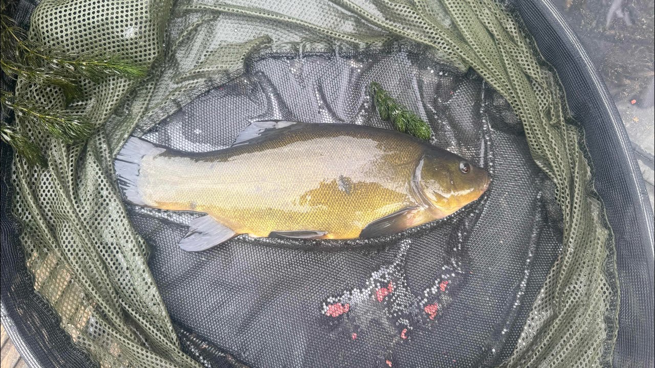 First time fishing with Fjuka Sensate