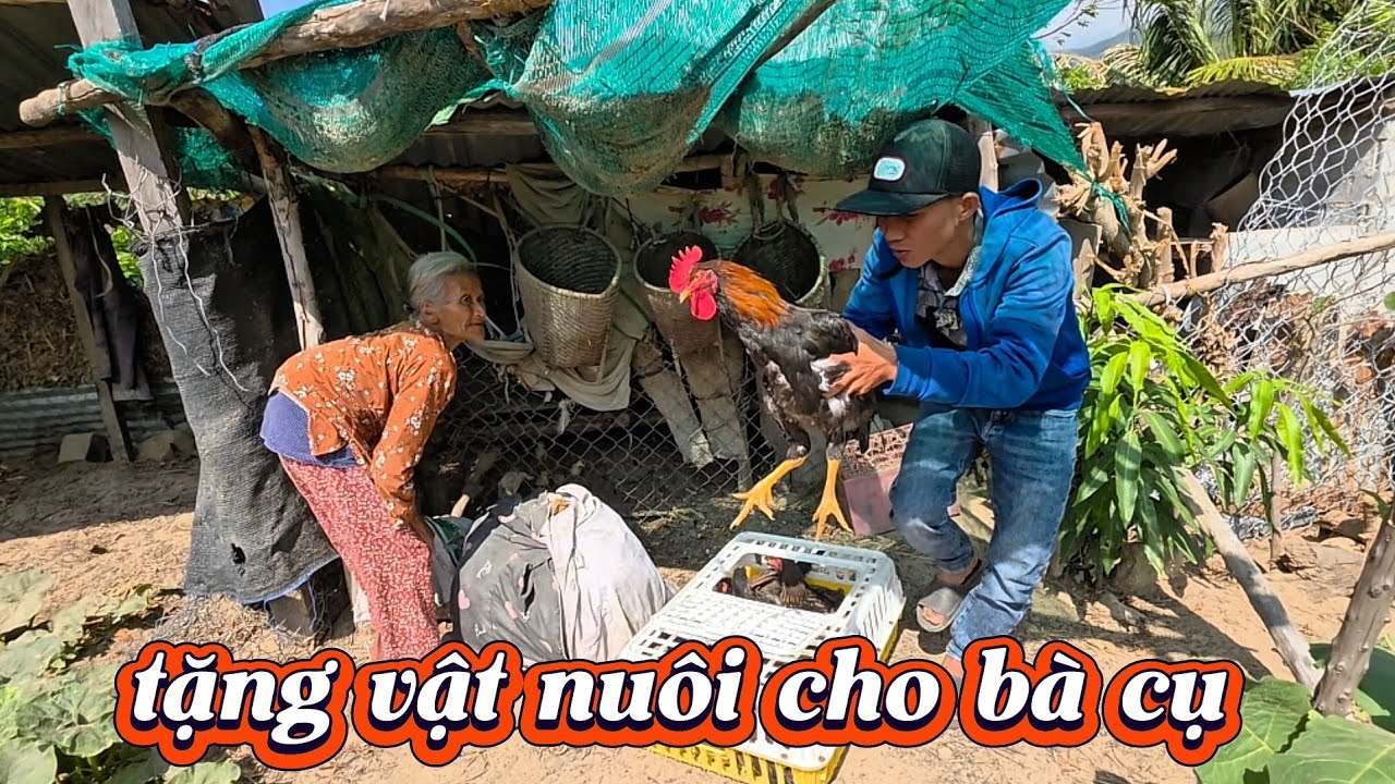 Tặng VẬT NUÔI giúp bà cụ bên bờ suối || 532
