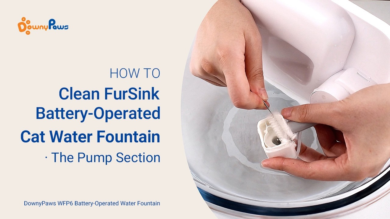 How to Clean the Water Pump丨DownyPaws FurSink Wireless Cat Water Fountain DPWFP6