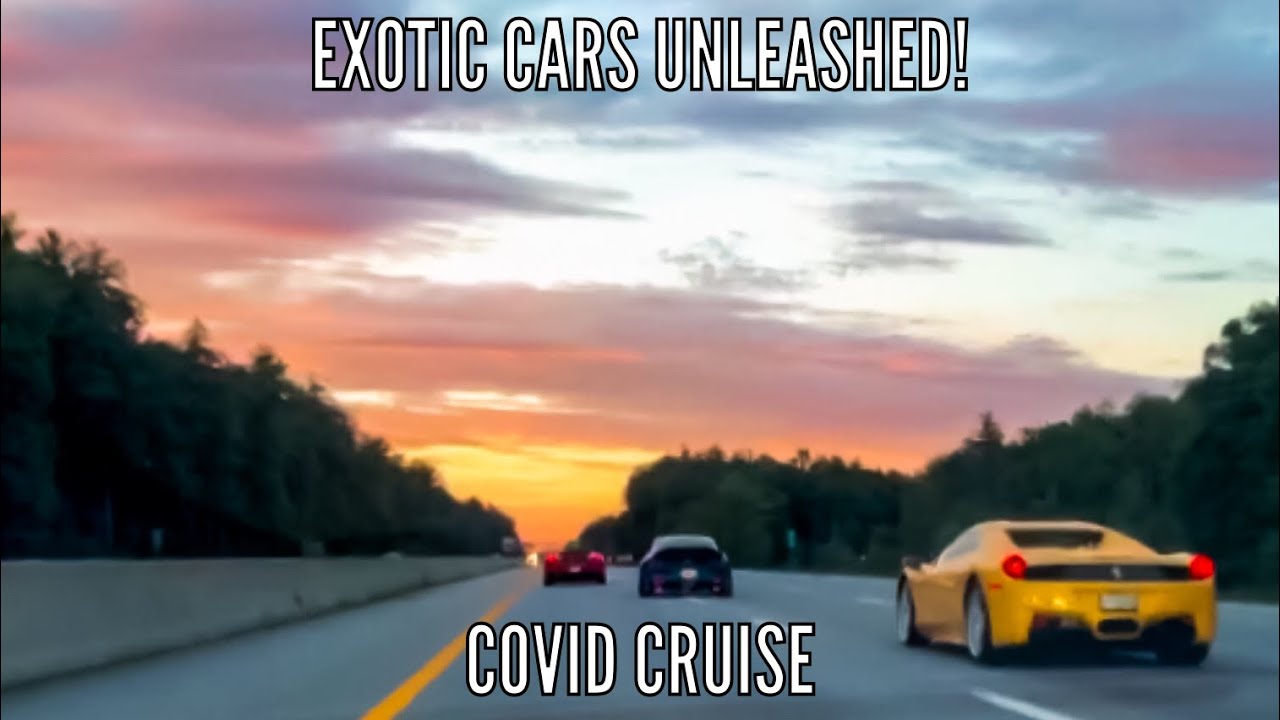 Exotic Cars Unleashed!