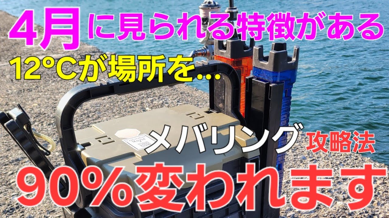 【メバリング】4月攻略。海水温12℃で狙うポイントが変わる季節。一方でメバルルアーが大活躍