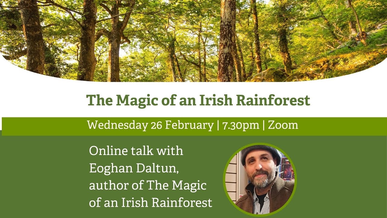 Online Talk: The Magic of an Irish Rainforest