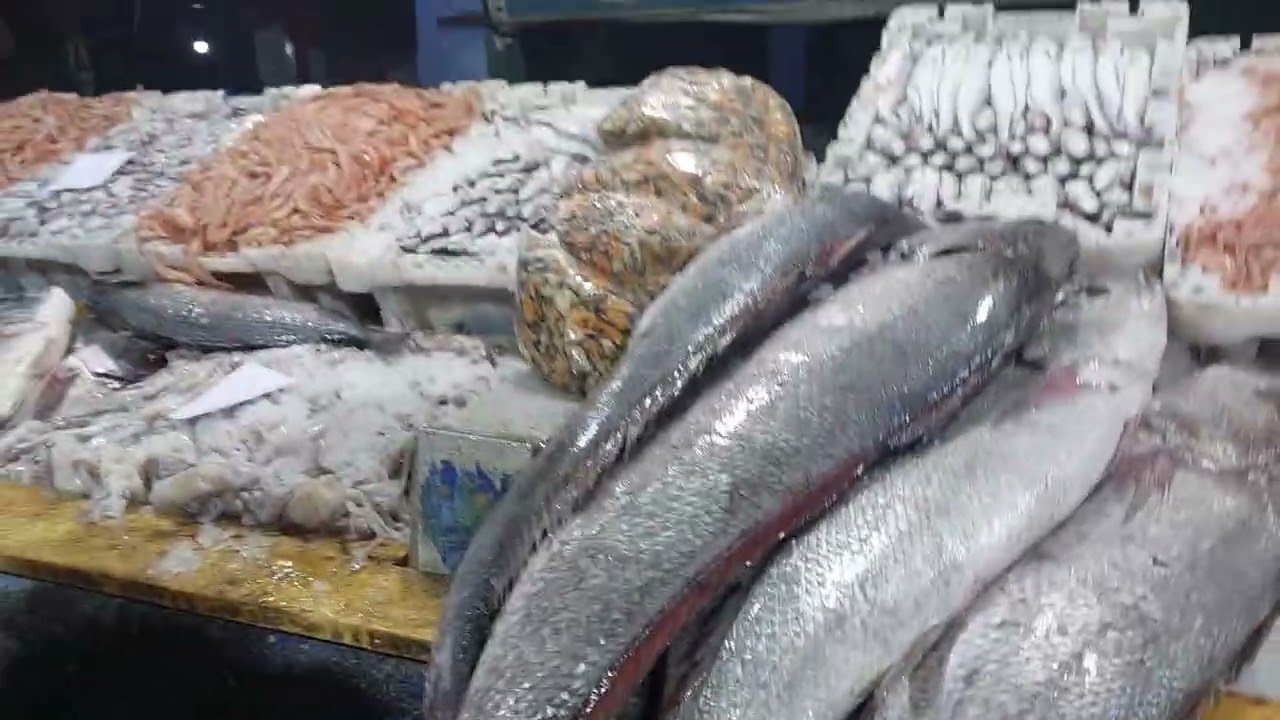 مرحبا بالجميع ليوم 24/01/26 كلمار 60dh سومو 85dh قمرون 60dh مرنا 60dh خير مجود بكثرة 0691463136