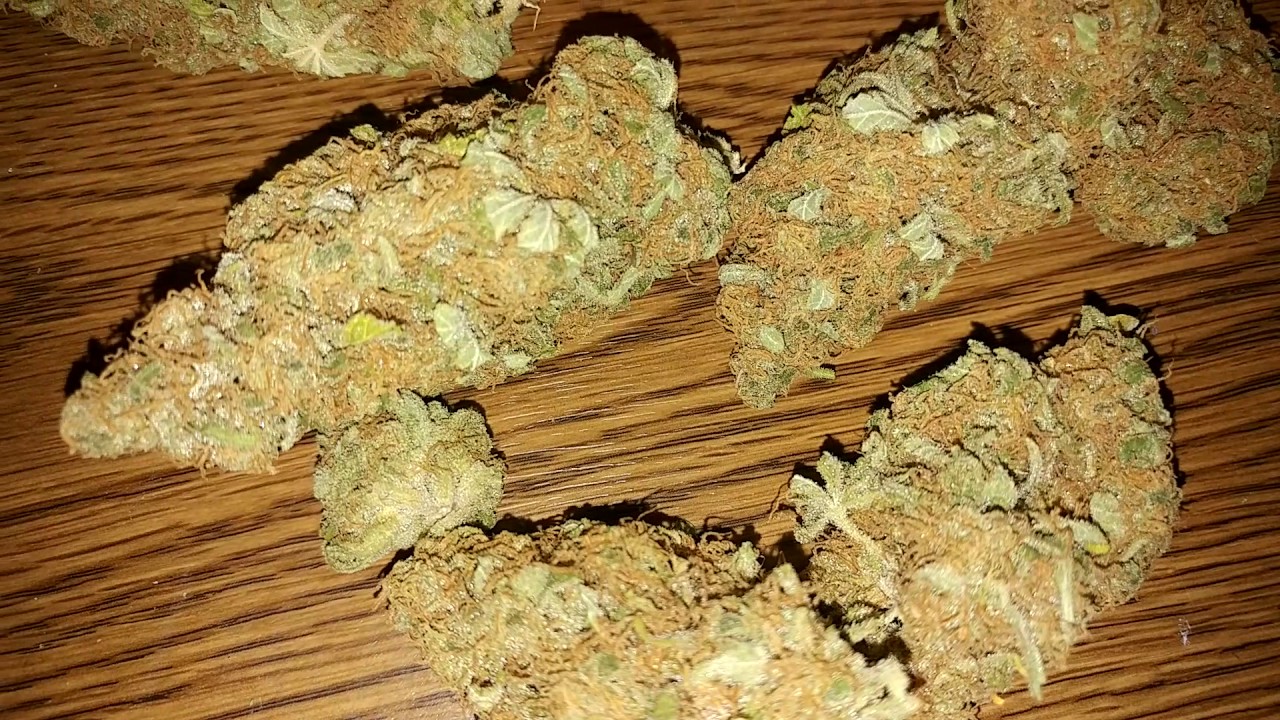 Jack herer , vanilla kush , kush bomb. Highlights from last crop.