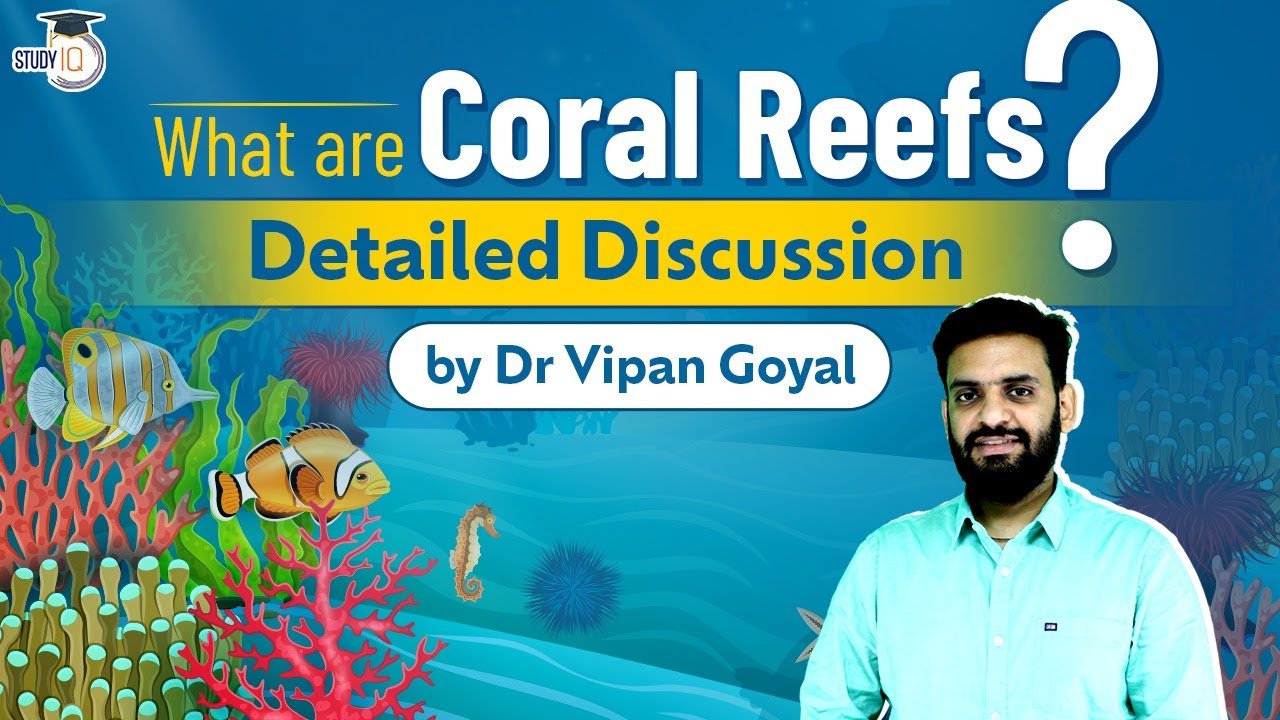What are Coral Reefs ? Oceanography l Geography l Environment l Dr Vipan Goyal l Study IQ