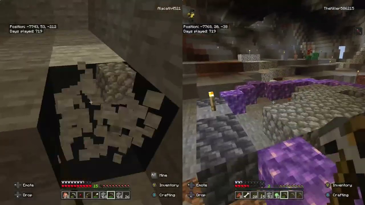 Minecraft | Me and My lil bro playing on our world 