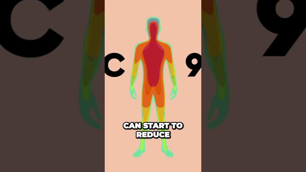 Winter Survival Secrets How Our Bodies Brave the Cold