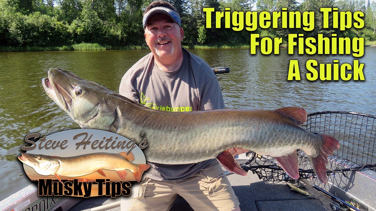 Triggering Tips For Fishing A Suick