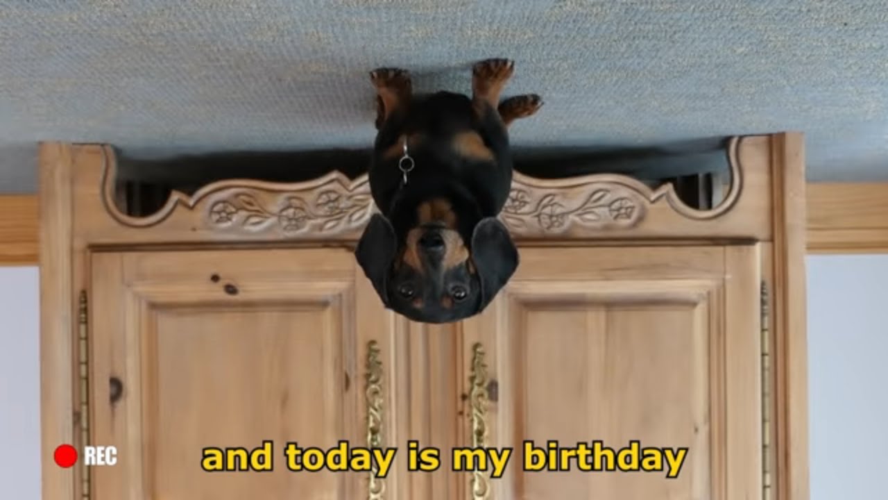 Ep 20: Oakley Films Himself for his Birthday VLOG