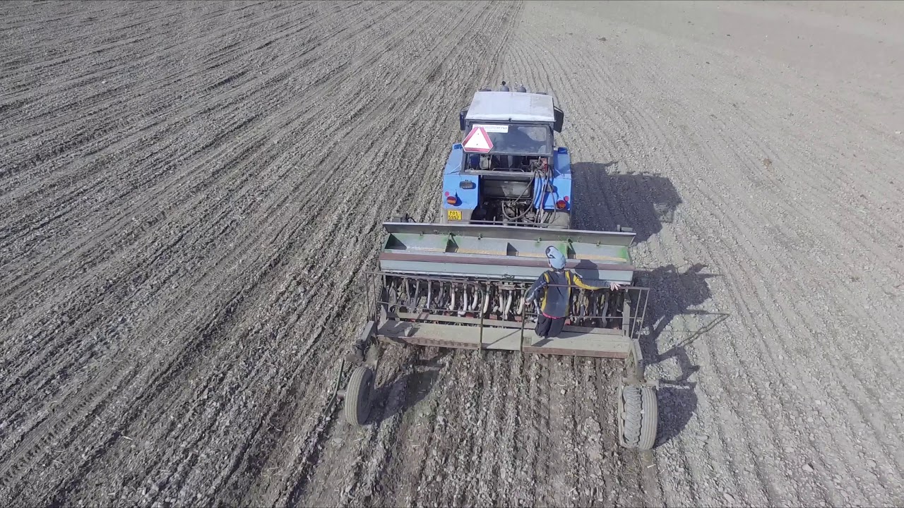 Setí, zavlačování