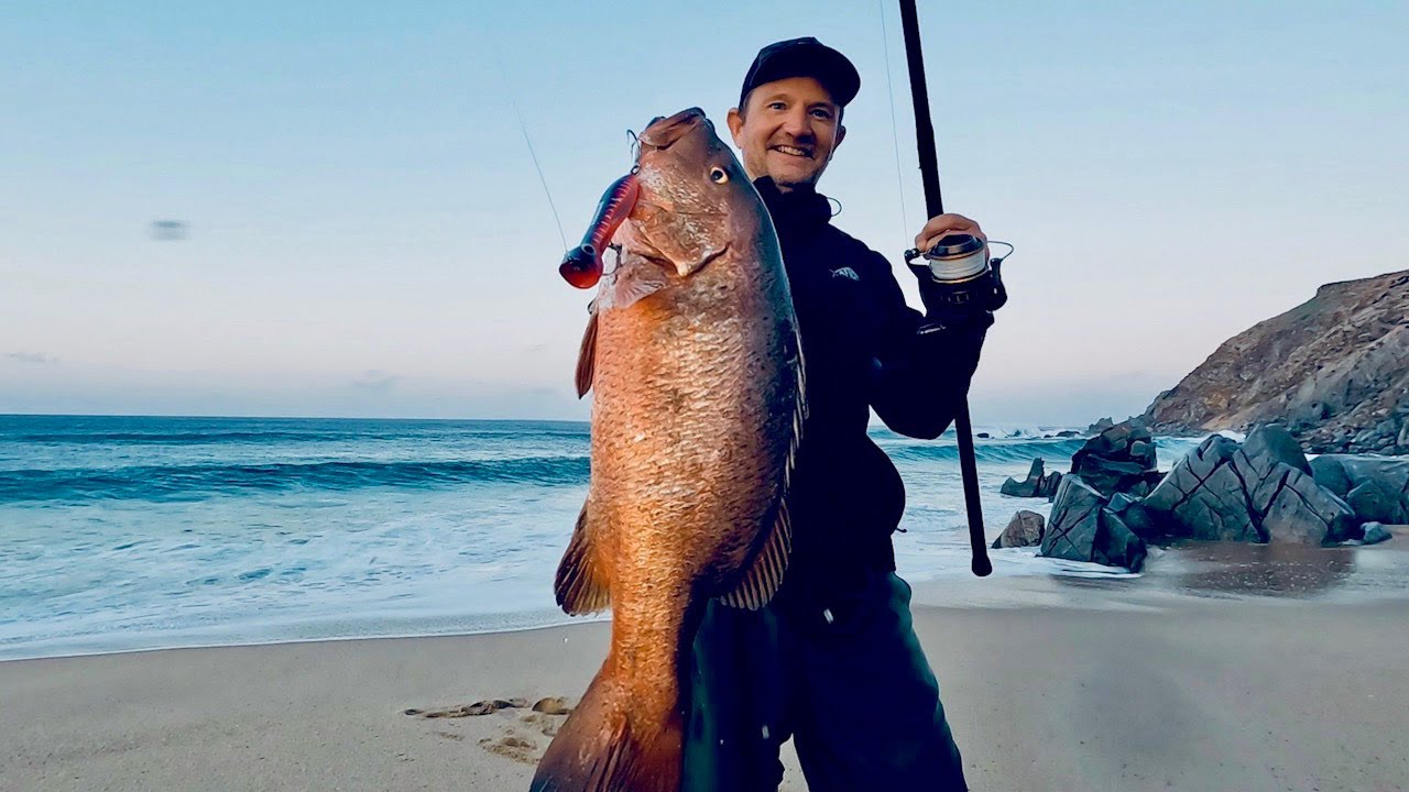 Cubera Snapper from the beach