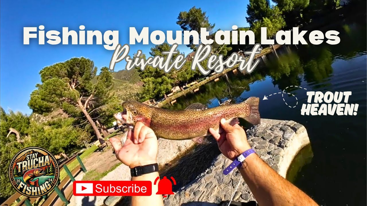 Trout Fishing Mountain Lakes + Unexpected Catch!