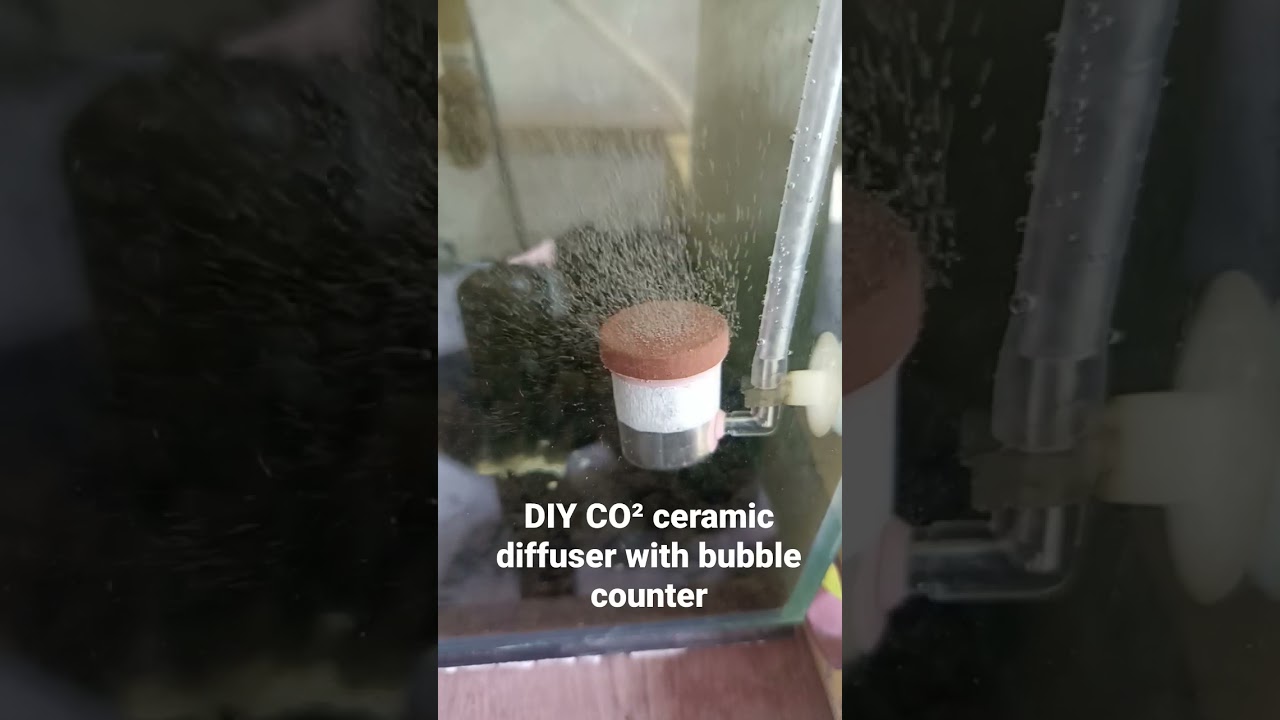 DIY CO&sup2; ceramic diffuser with bubble counter
