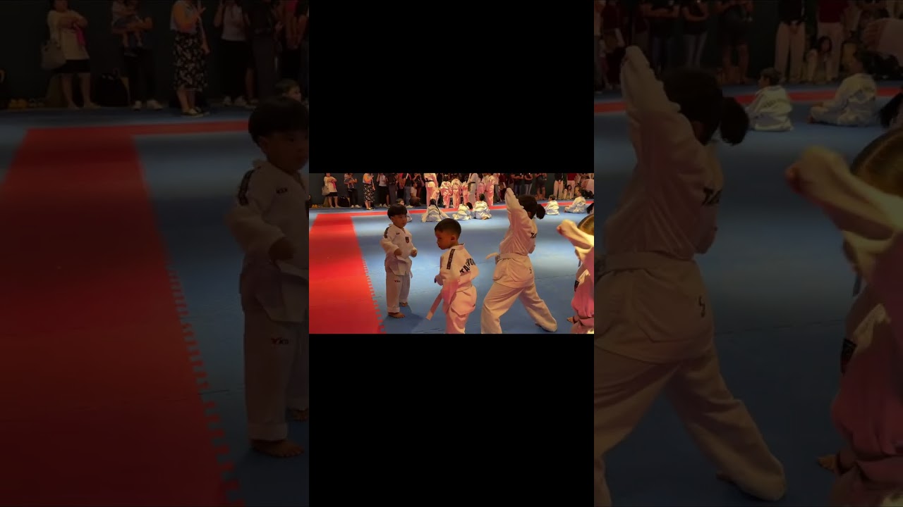 Taekwondo Promotion Test