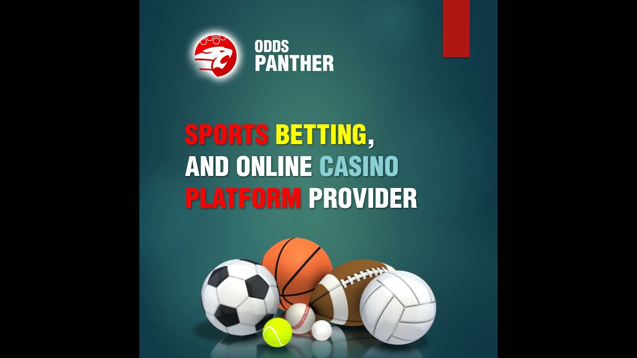 Odds Panther - Your ultimate online betting software and gaming solutions.