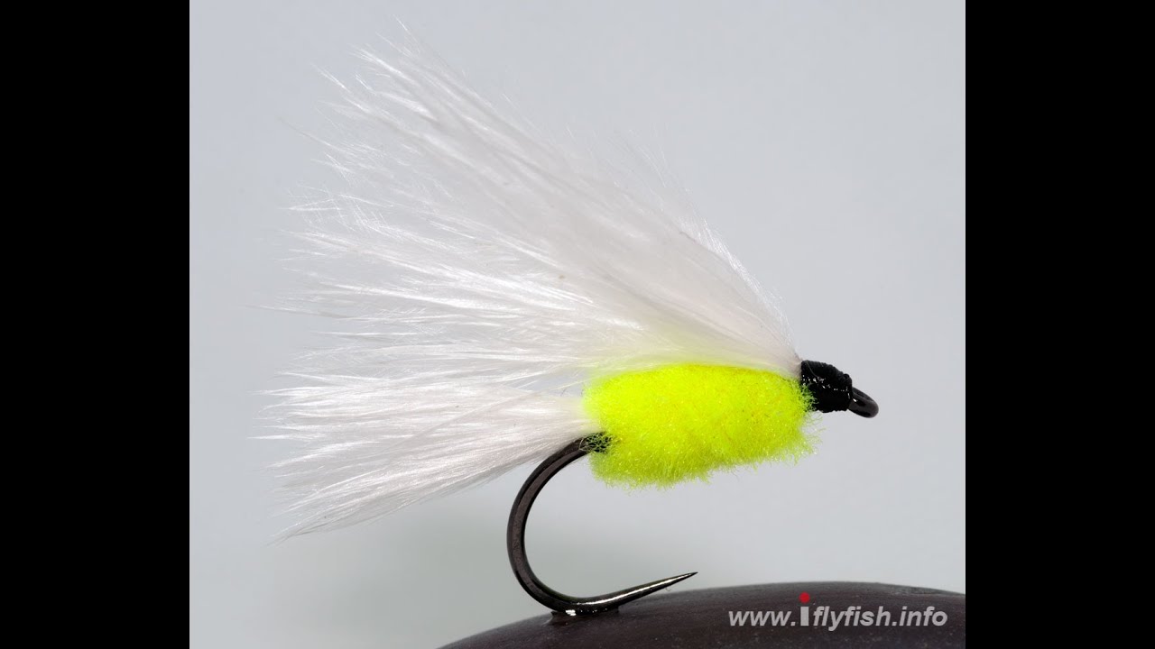 Fly One - Cats Whisker