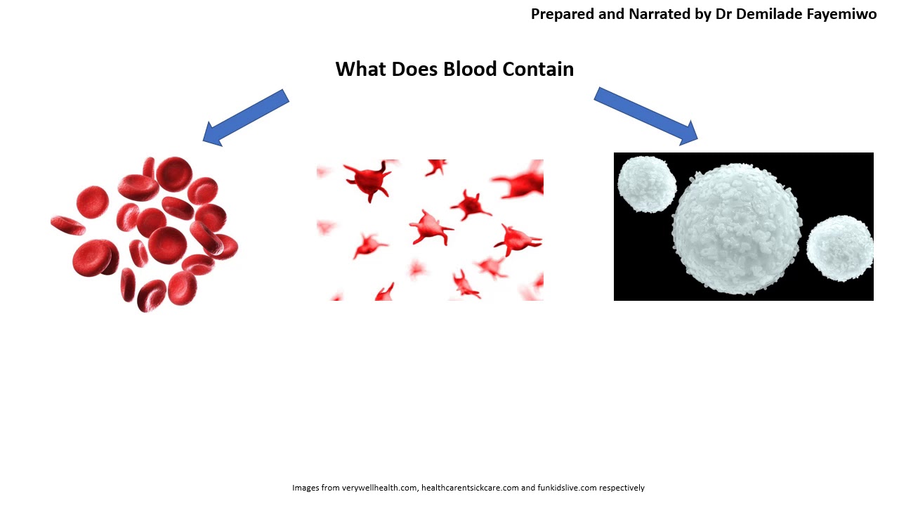 Chapter 8.2: Blood Cells, Haemoglobin and the Bohr Shift