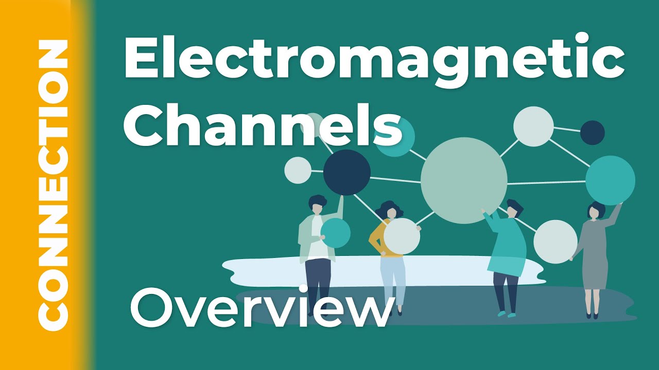 Human Design: The Allure of Electromagnetic Channels