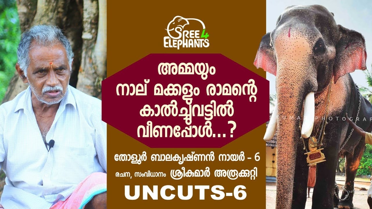 ജീവിത സാഗരം നീന്തിക്കടക്കാൻ അയാൾ നേരിടേണ്ടി വന്ന തീ പാറുന്ന നിമിഷങ്ങൾ.!വരുതിയിലാക്കിയ ആനത്താരങ്ങൾ.!
