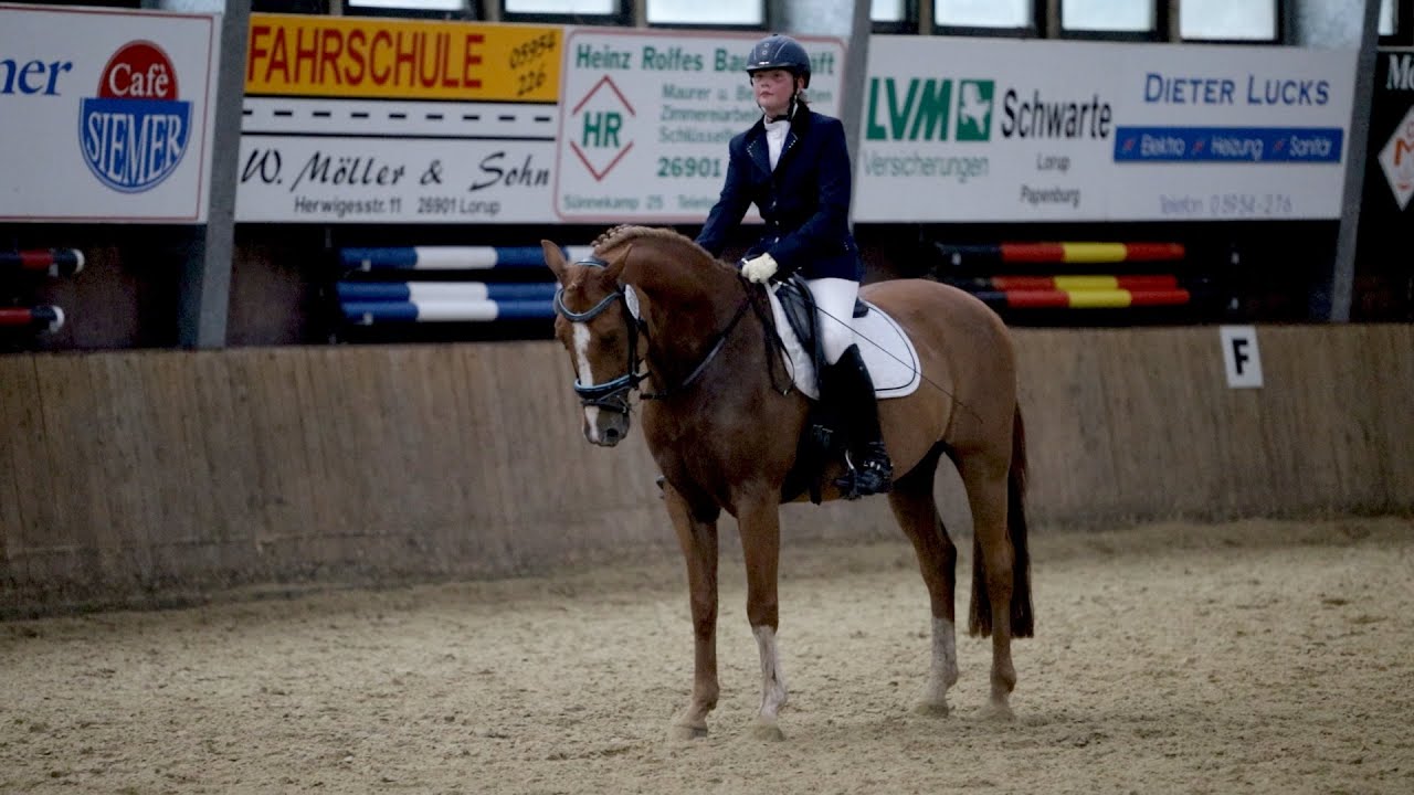 Meine aktuelle E Dressur mit Campino beim Turnier in Lorup 2021