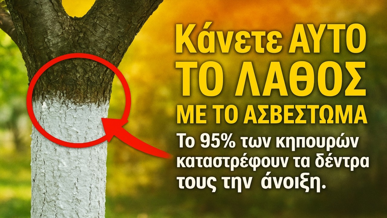 Κάνετε ΑΥΤΟ το λάθος με το ασβέτωμα; Το 95% των κηπουρών καταστρέφουν τα δέντρα τους την άνοιξη.