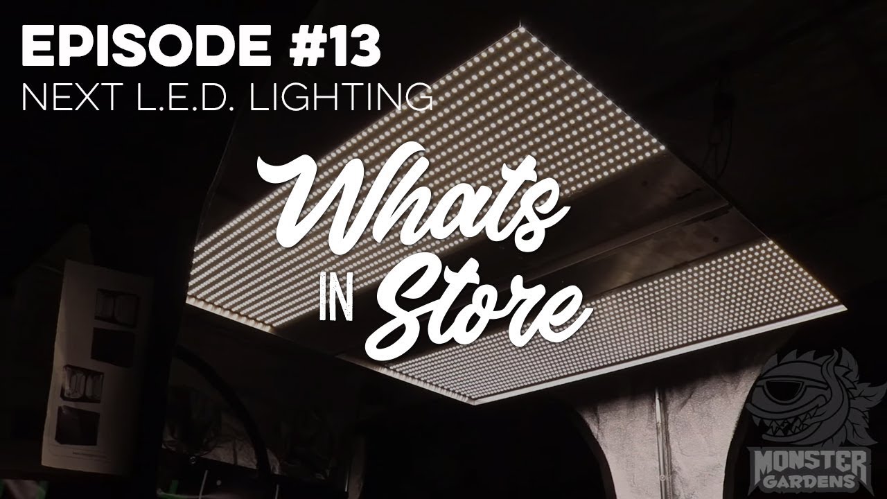 What's in Store? #13 NEXTLIGHT LED Lighting
