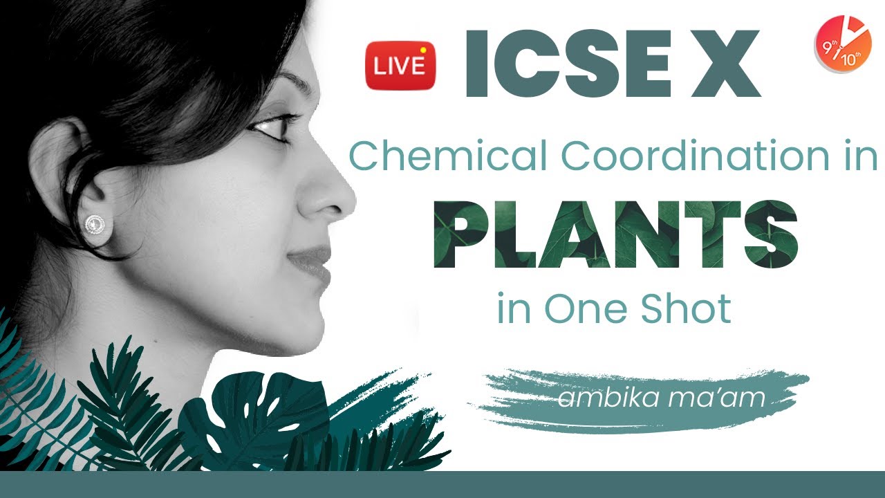 Chemical Coordination in Plants in One Shot | ICSE Class 10 Biology Chapter 7 | SELINA Vedantu