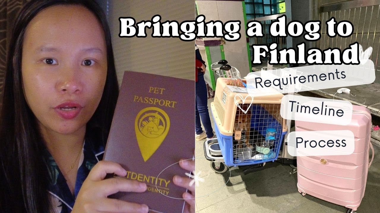 Bringing a dog from Philippines to Finland - Requirements, Process & Timeline + Story Time!