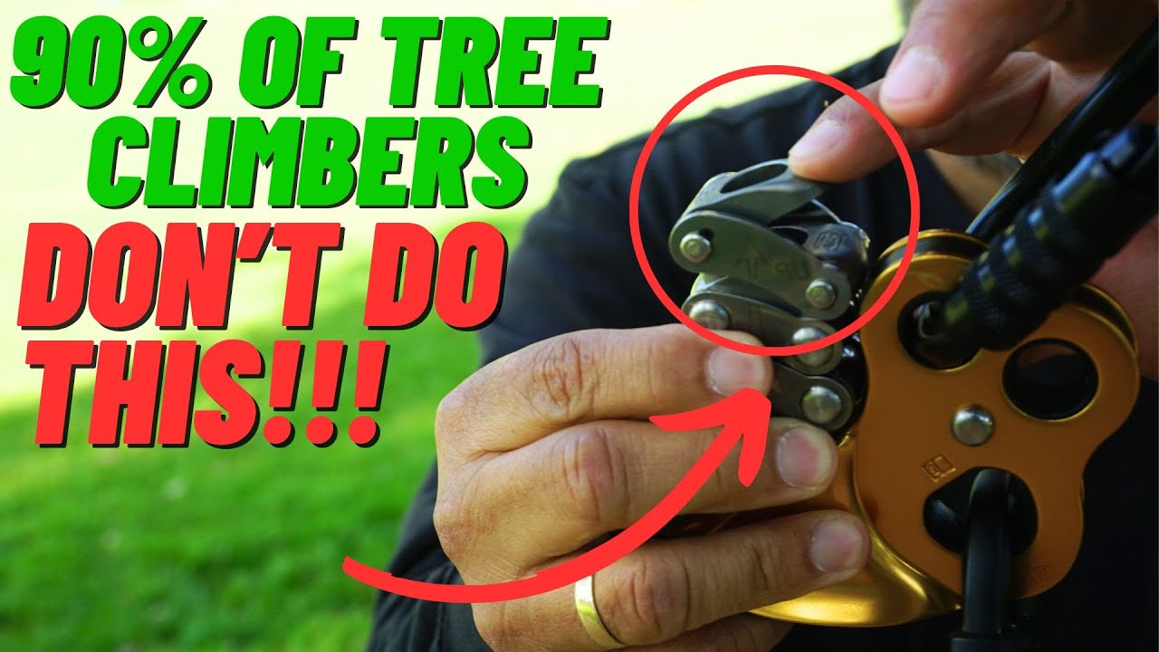 Tree Climbers Beware! Do This Every Time You Climb With Your ZigZag