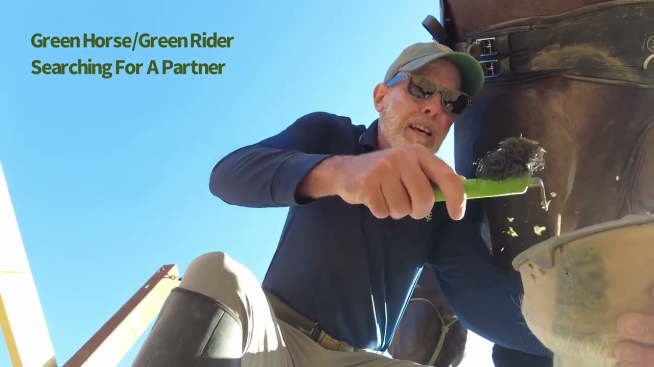 Green Horse Green Rider unintentionally...