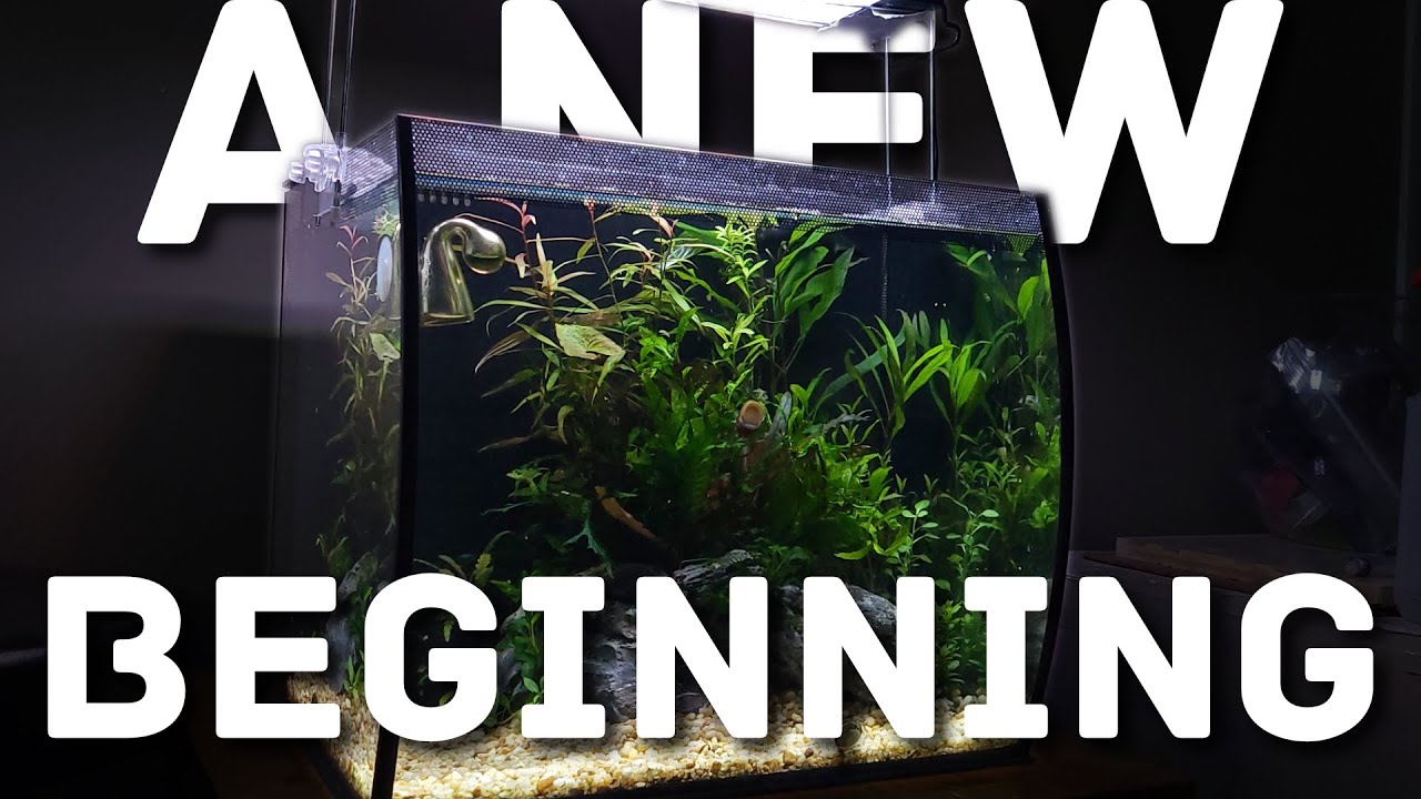 Reviving My Fluval Flex: A Journey to a New Aquascape