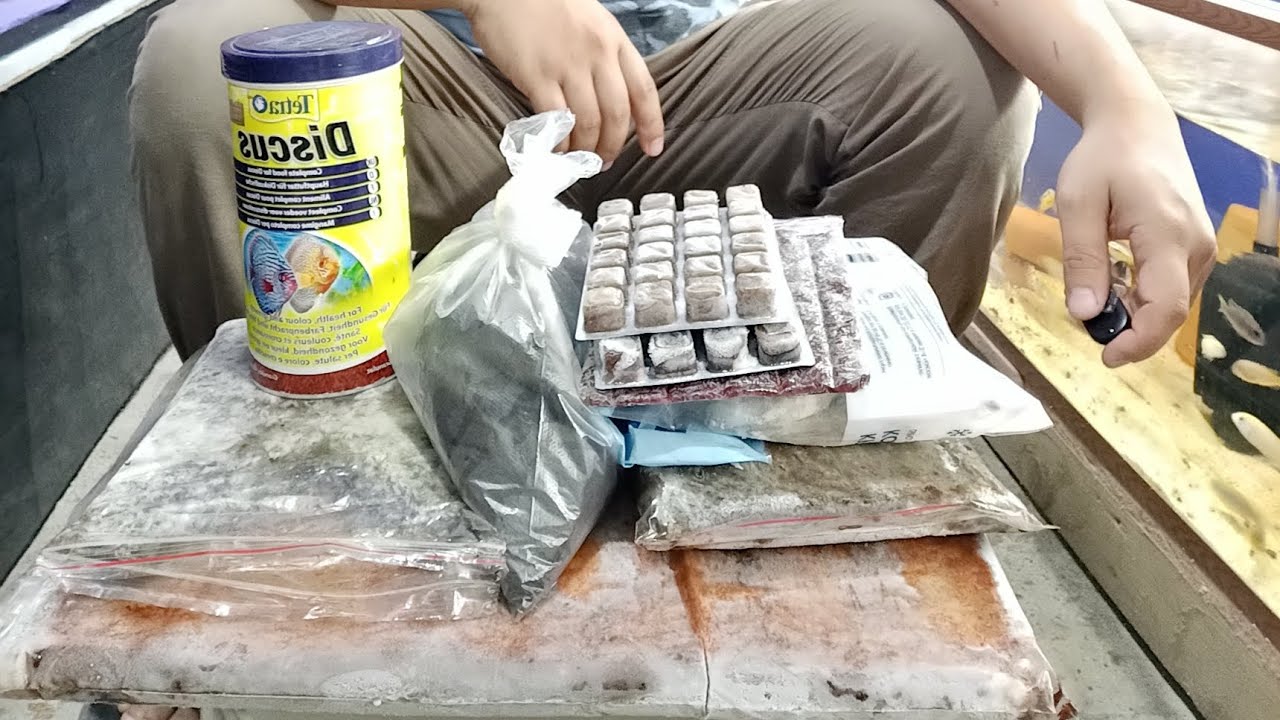Assalomu aleykum hudo hohlasa baliqlarimiz uchun kormlar xaqida qisqacha video obzor qildim