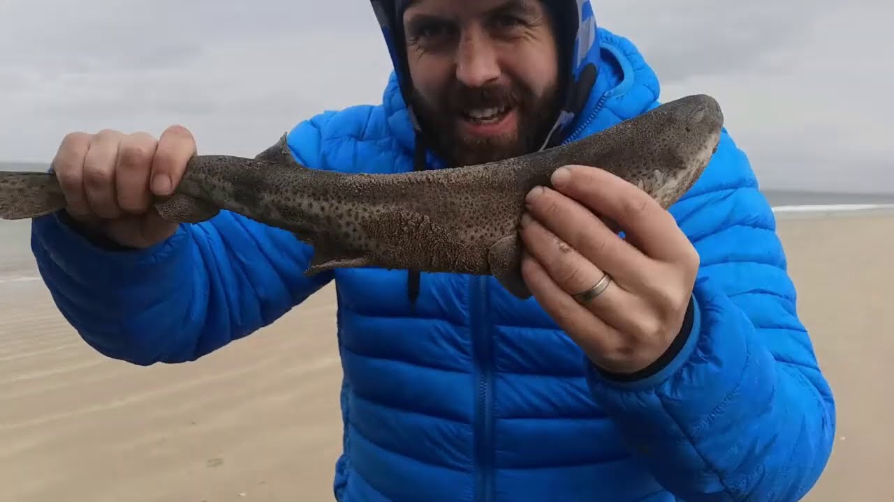 Beach fishing for Dogfish with mackerel, lugworm and drone practice
