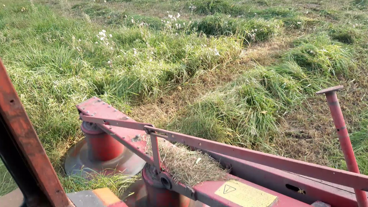 Sianokosy , T 25 i rotacyjna