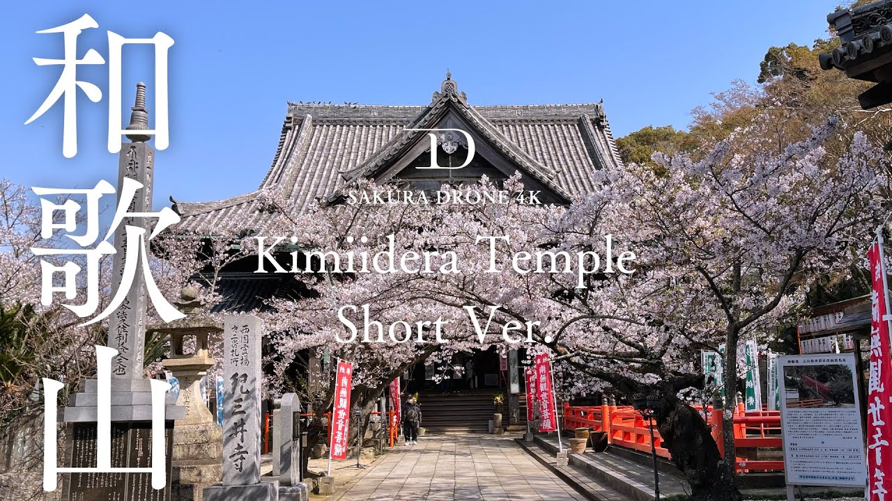 [桜ドローン撮影4K] 和歌山県紀三井寺の桜 Kimiidera Temple, Wakayama (Short Ver. )｜桜ドローンプロジェクト
