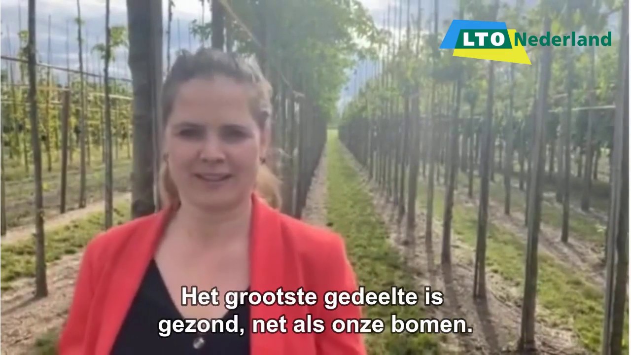 Bomen zijn net mensen, je moet naar je medicijnkastje kunnen grijpen om ze gezond te houden...