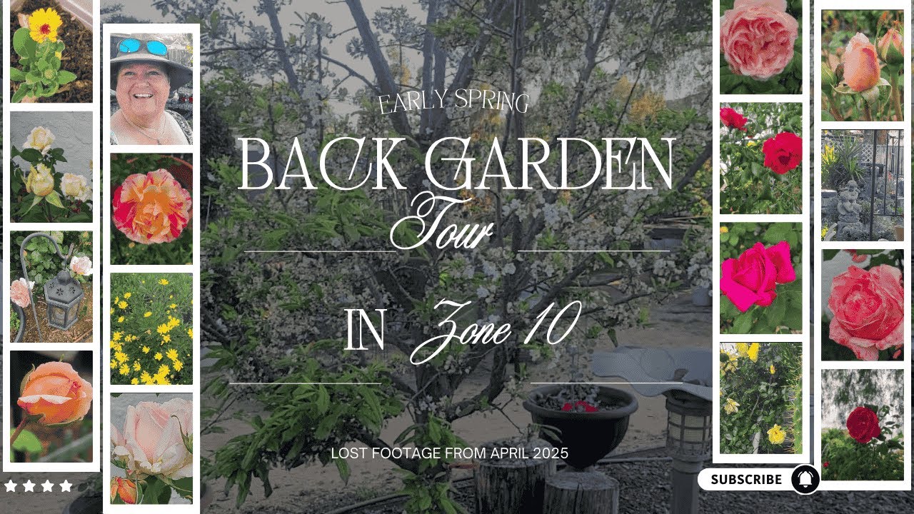 Spring Back Garden Tour - Zone 10