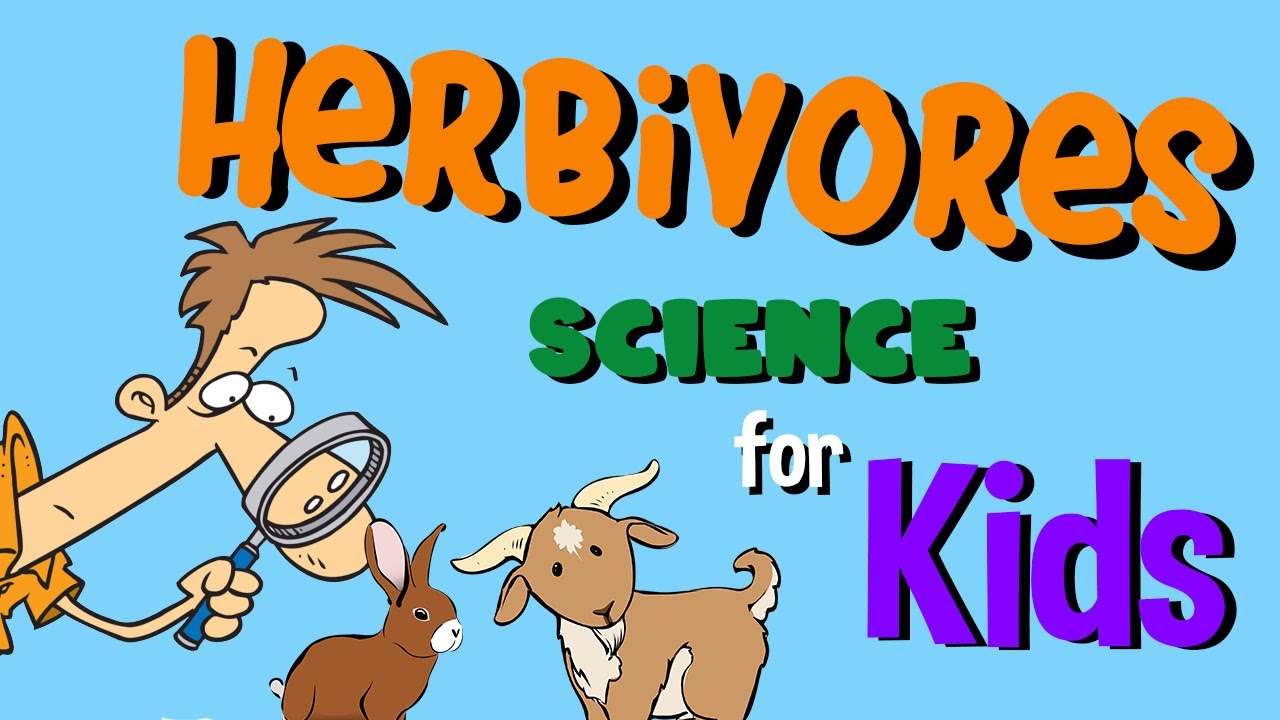 Herbivores | Science for Kids