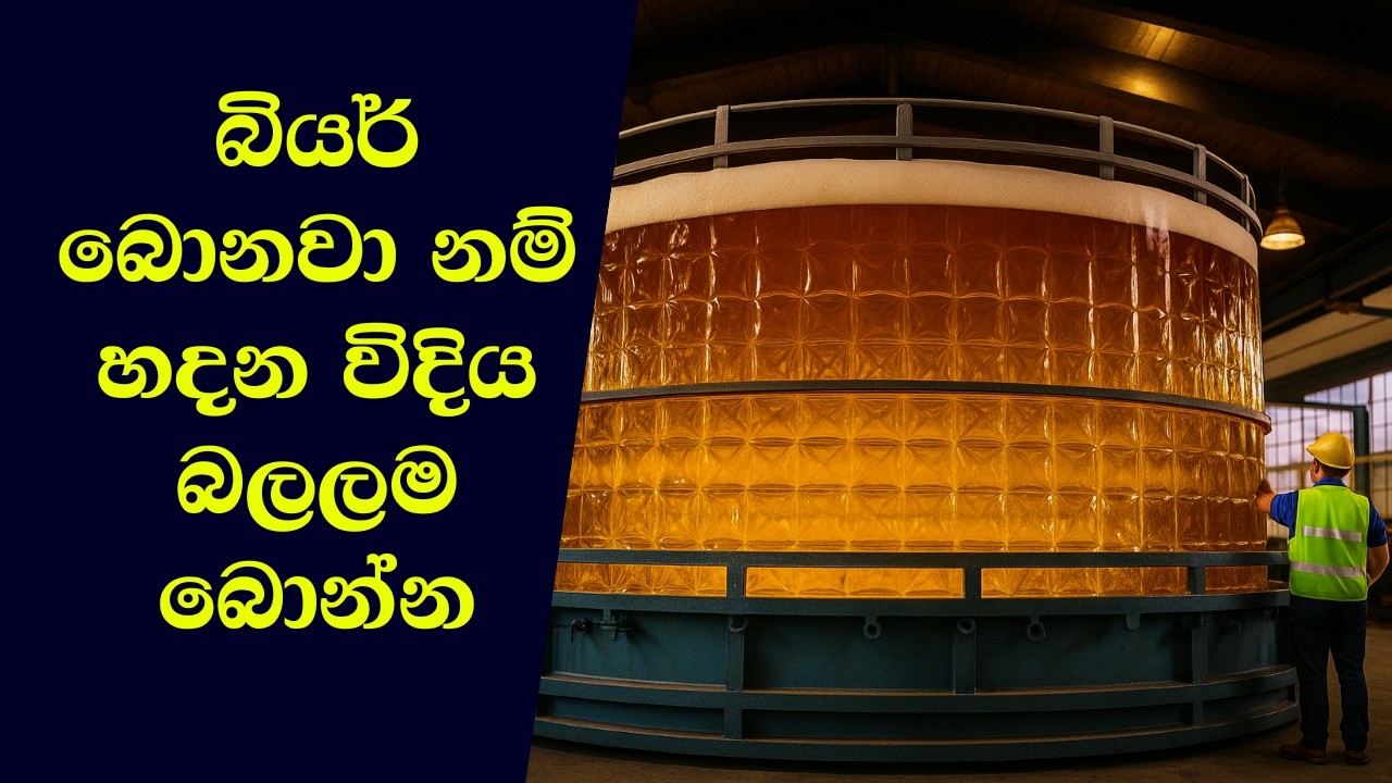 බියර් හදන විදිහ | How Beer Is Made Sinhala | ow to make Beer