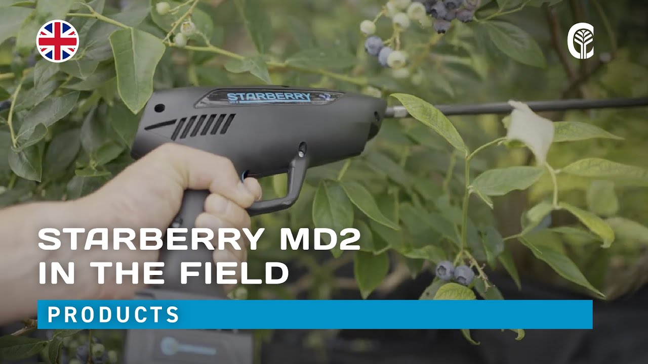 🇬🇧 Products presentation: CAMPAGNOLA STARBERRY MD2