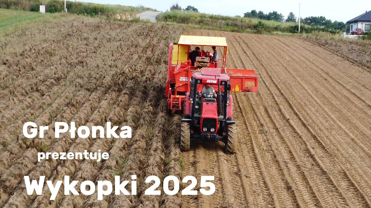 Wykopki na Podkarpaciu - Grimme 75-20 , Zetor 9540