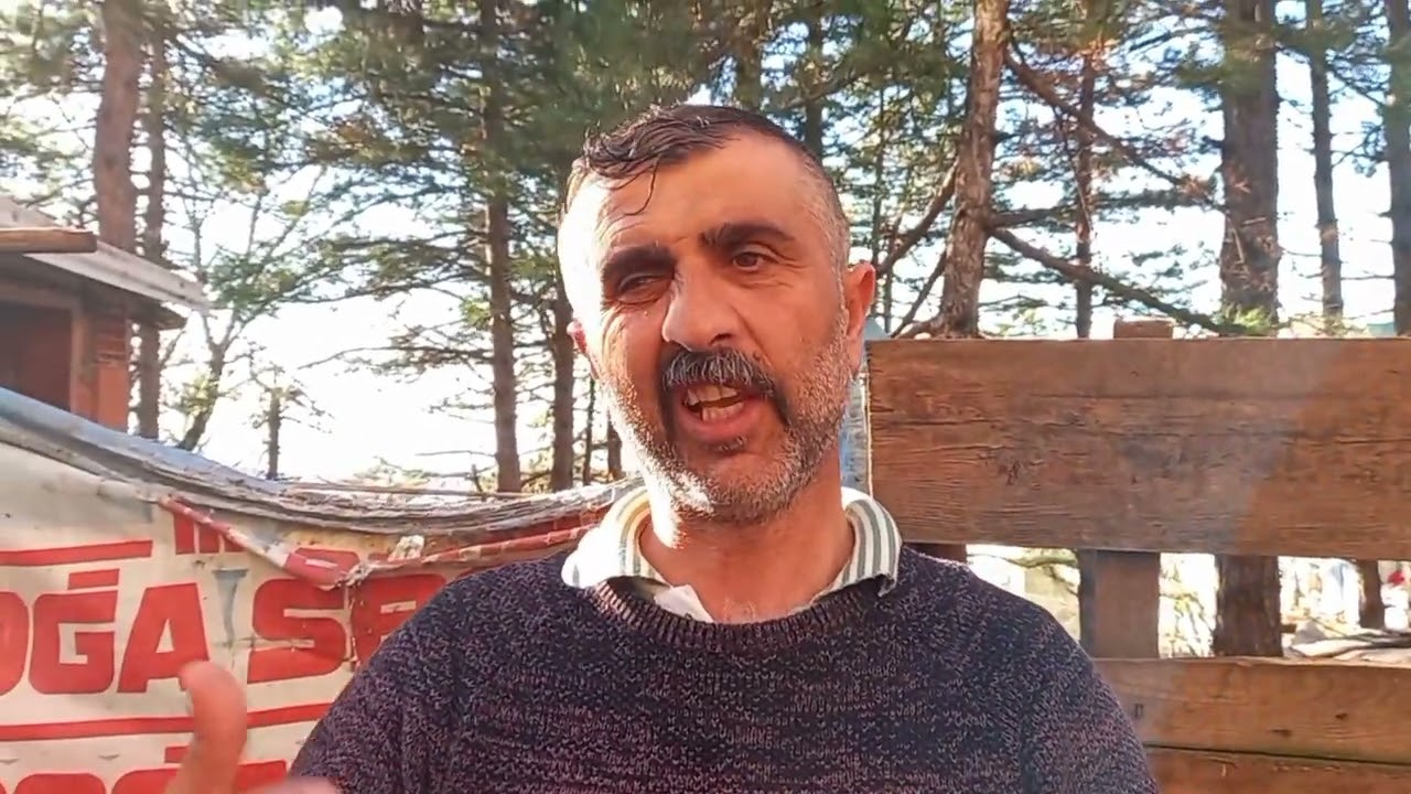 #123# BASKIN RENKLER