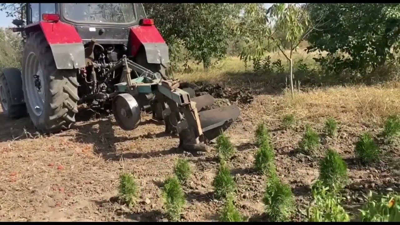 ік за роком оранка за оранкою і так проходять роки.