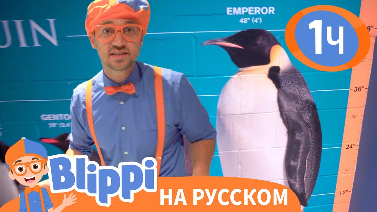 Блиппи в Океанариуме | Изучай этот мир вместе с Блиппи | Blippi Russian