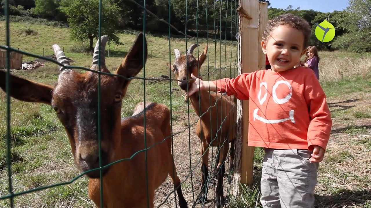 Oasis îlot des Combes