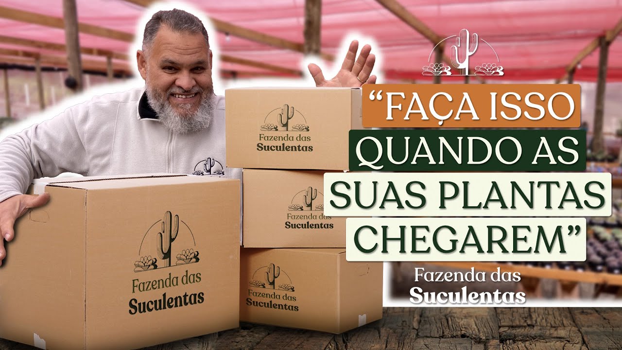 COMO ADAPTAR AS PLANTAS QUE CHEGAM PELAS TRANSPORTADORAS E CORREIOS?