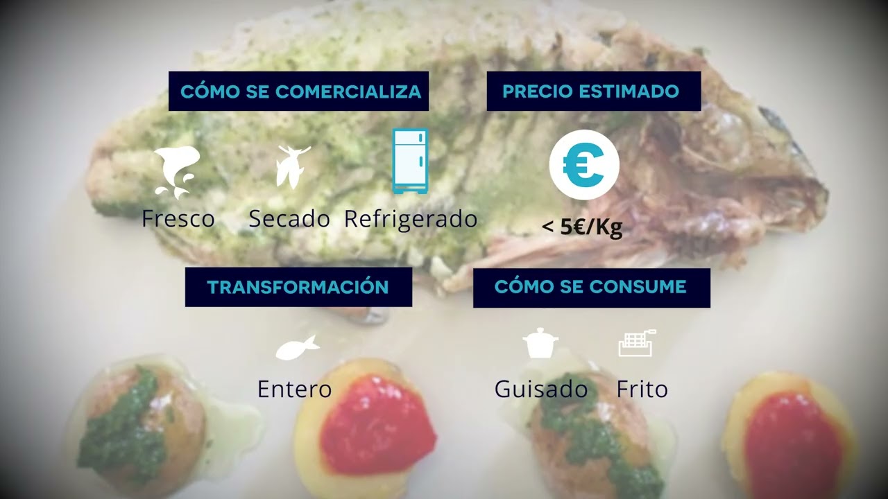 MARIDAJE PESCADO CANARIO